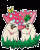 /album/houby/houby-002-gif/